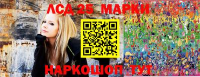 шишки Лесосибирск