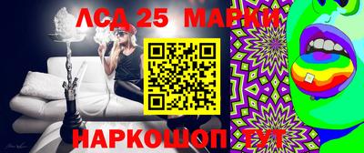 шишки Лесосибирск