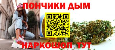 шишки Лесосибирск